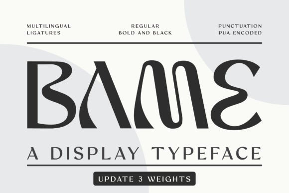 Bame Typeface: A Web Designer’s Hands-On Review of This Display Serif