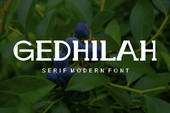 Gedhilah: A Bold Serif Font for Campaigns That Demand Attention