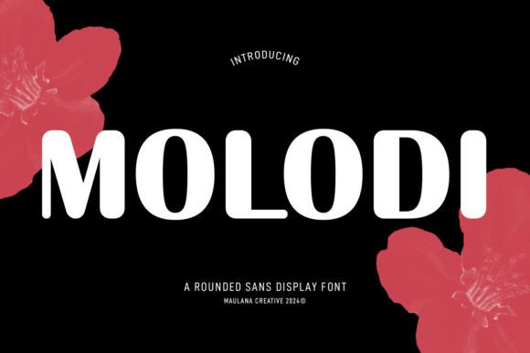 Molodi Rounded Display Font for Editorial Design