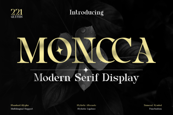 Moncca: A Designer’s Honest Take on a Serif Font Built for Branding